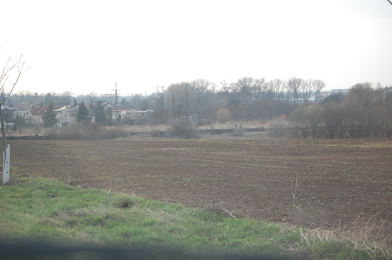 DSC_0095.JPG