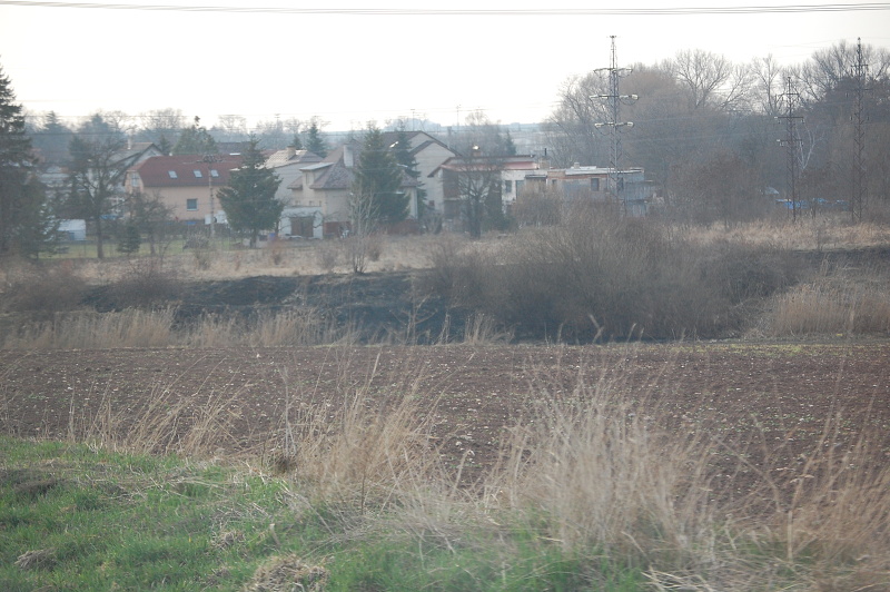 DSC_0099.JPG