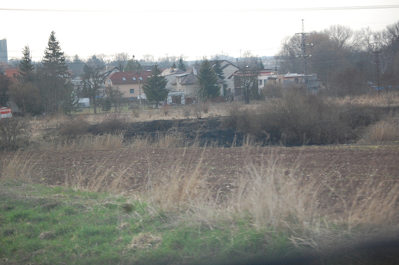 DSC_0110.JPG