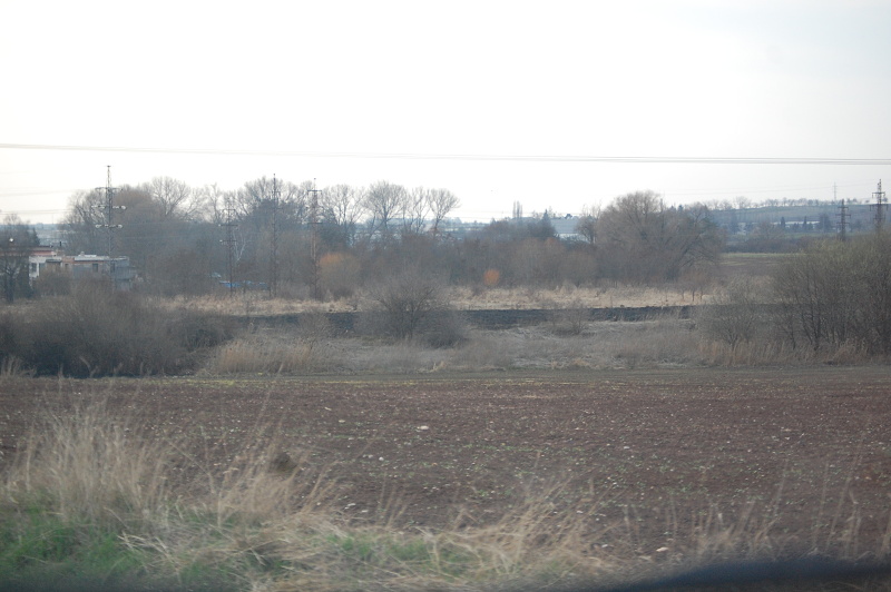 DSC_0111.JPG