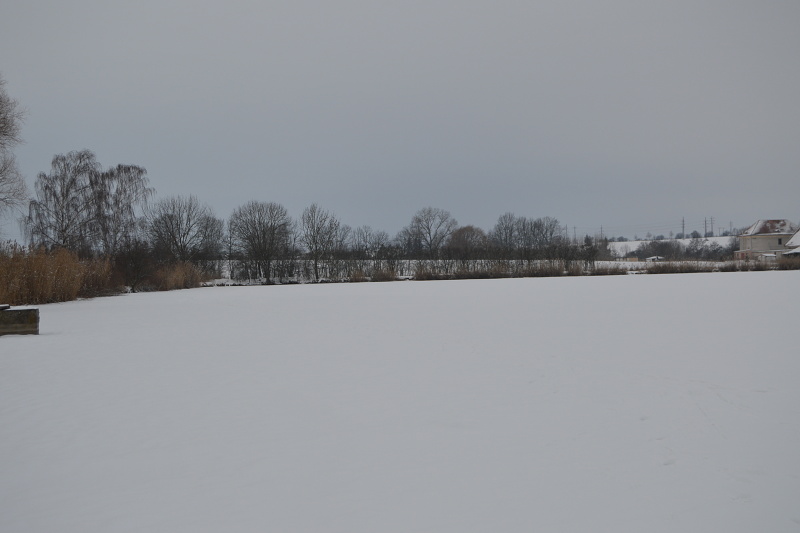 DSC_0050
